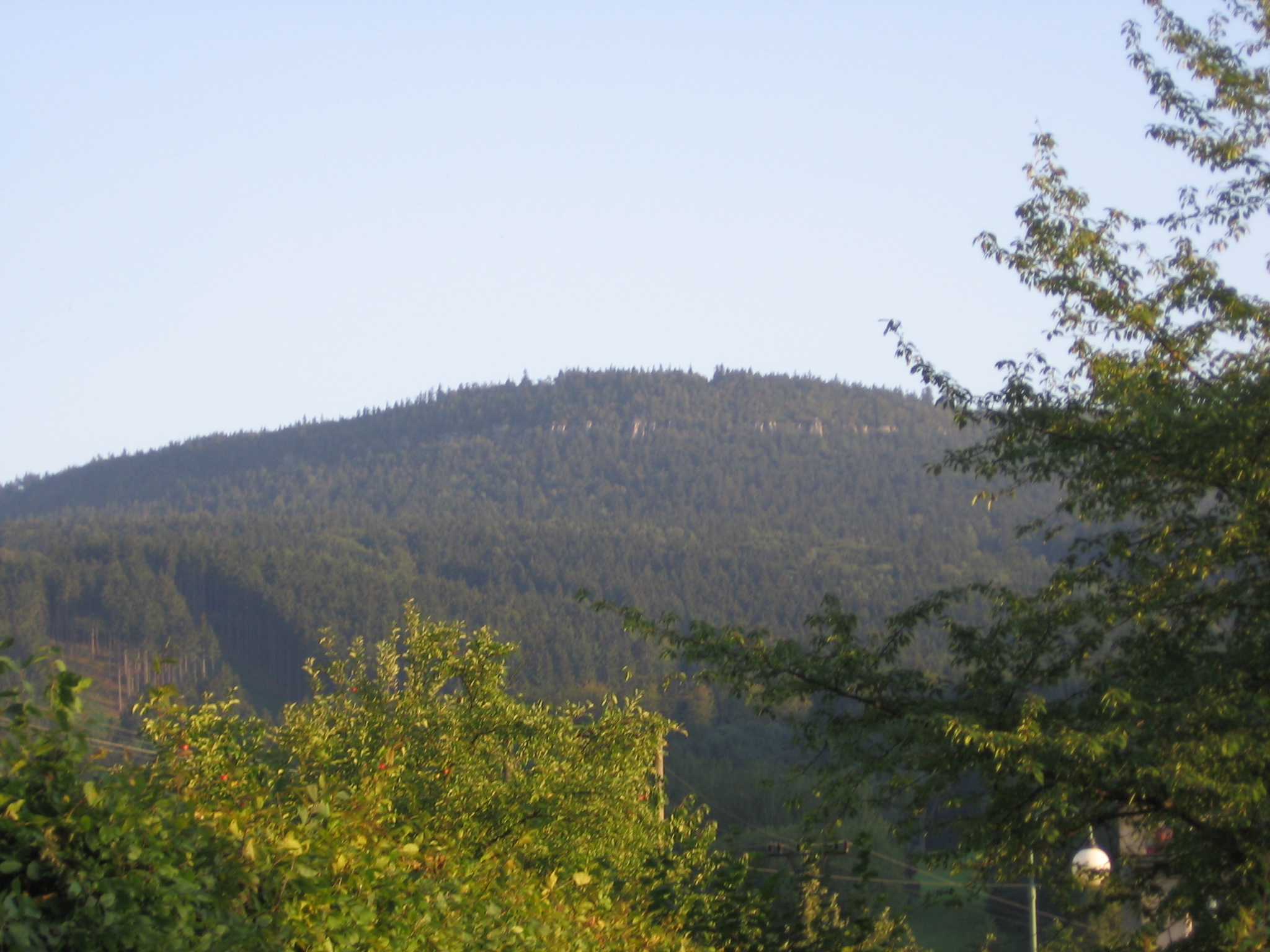 IMG_0074.jpg